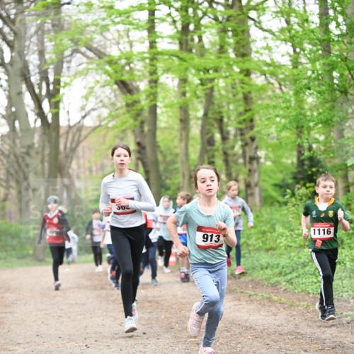 13.04.2025 - Hammer Lauf Dr. Thomas Lammeyer http://msf.ph/oto/7630174 13.04.2025 09:23:57 Laufen 303, 15, 913, 1116 meine-sportfotos.de