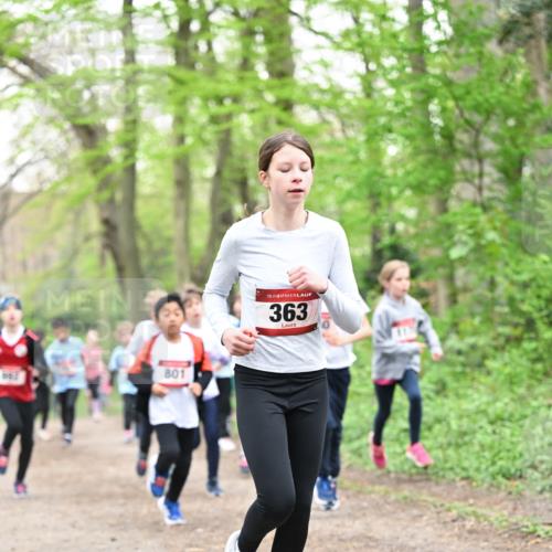 13.04.2025 - Hammer Lauf Dr. Thomas Lammeyer http://msf.ph/oto/7630205 13.04.2025 09:23:58 Laufen 801, 15, 363 meine-sportfotos.de
