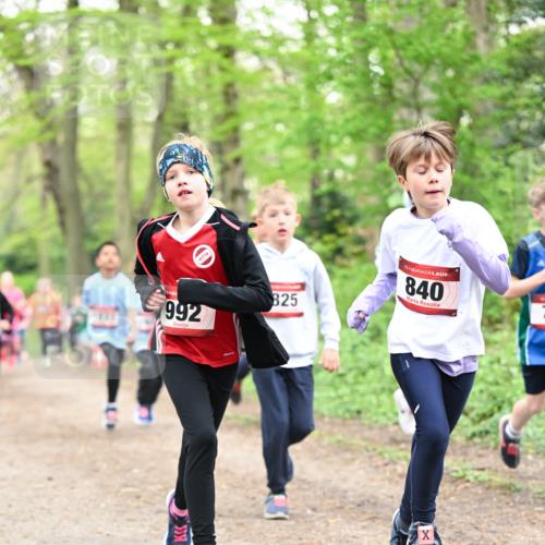 13.04.2025 - Hammer Lauf Dr. Thomas Lammeyer http://msf.ph/oto/7630266 13.04.2025 09:24:00 Laufen 16, 992, 825, 15, 840 meine-sportfotos.de