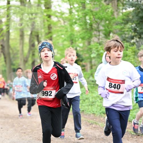 13.04.2025 - Hammer Lauf Dr. Thomas Lammeyer http://msf.ph/oto/7630271 13.04.2025 09:24:01 Laufen 992, 16, 25, 15, 840, 7 meine-sportfotos.de