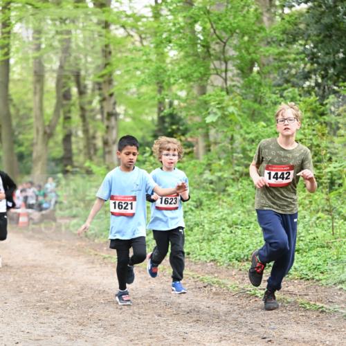 13.04.2025 - Hammer Lauf Dr. Thomas Lammeyer http://msf.ph/oto/7630309 13.04.2025 09:24:02 Laufen 15, 1621, 1623, 15, 1442 meine-sportfotos.de