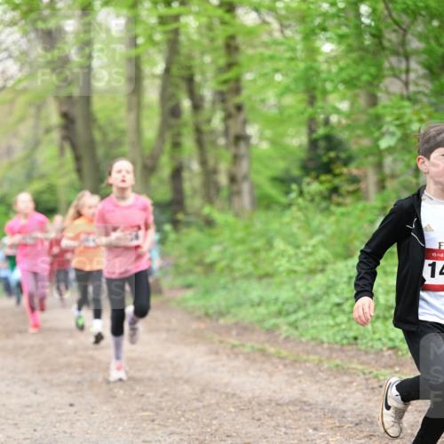 13.04.2025 - Hammer Lauf Dr. Thomas Lammeyer http://msf.ph/oto/7630381 13.04.2025 09:24:04 Laufen 15, 14 meine-sportfotos.de