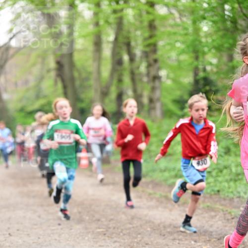 13.04.2025 - Hammer Lauf Dr. Thomas Lammeyer http://msf.ph/oto/7630503 13.04.2025 09:24:08 Laufen 194015, 930 meine-sportfotos.de