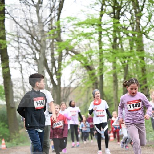 13.04.2025 - Hammer Lauf Dr. Thomas Lammeyer http://msf.ph/oto/7631005 13.04.2025 09:24:30 Laufen 15, 1440, 1443, 775, 15, 1449 meine-sportfotos.de