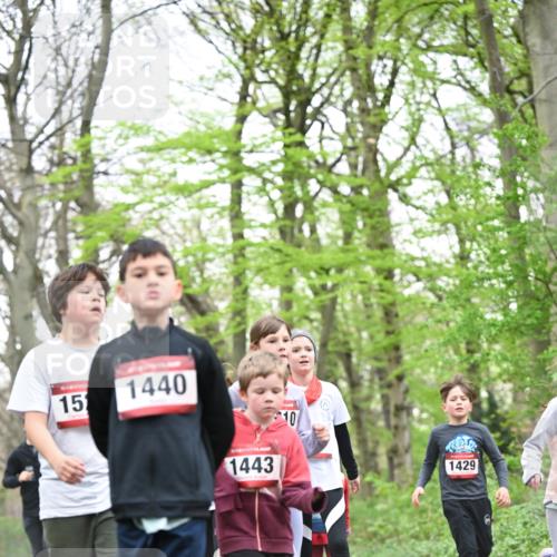 13.04.2025 - Hammer Lauf Dr. Thomas Lammeyer http://msf.ph/oto/7631060 13.04.2025 09:24:32 Laufen 15, 1440, 1443, 10, 1429 meine-sportfotos.de