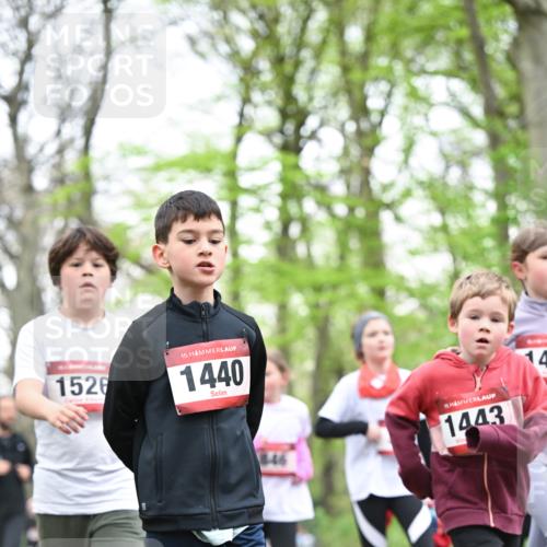 13.04.2025 - Hammer Lauf Dr. Thomas Lammeyer http://msf.ph/oto/7631097 13.04.2025 09:24:33 Laufen 1526, 15, 1440, 846, 1443, 14 meine-sportfotos.de