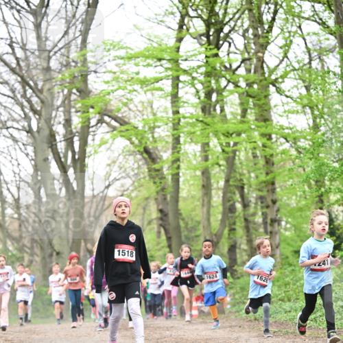 13.04.2025 - Hammer Lauf Dr. Thomas Lammeyer http://msf.ph/oto/7631292 13.04.2025 09:24:40 Laufen 1518, 1444, 1624, 1626, 41 meine-sportfotos.de
