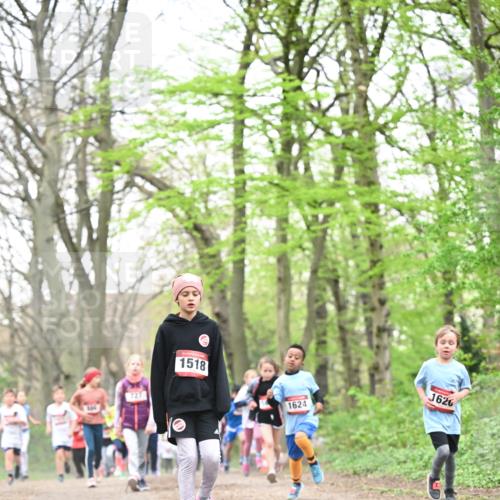 13.04.2025 - Hammer Lauf Dr. Thomas Lammeyer http://msf.ph/oto/7631318 13.04.2025 09:24:41 Laufen 1518, 1624 meine-sportfotos.de