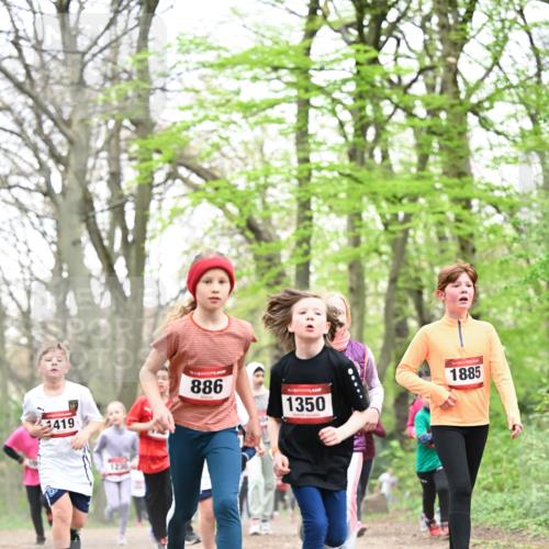 13.04.2025 - Hammer Lauf Dr. Thomas Lammeyer http://msf.ph/oto/7631446 13.04.2025 09:24:46 Laufen 419, 886, 1350, 1885 meine-sportfotos.de