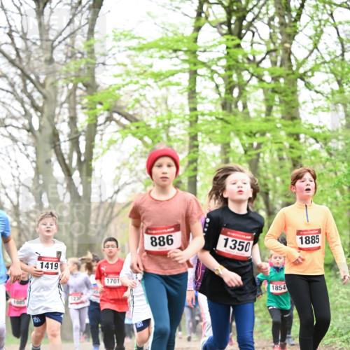 13.04.2025 - Hammer Lauf Dr. Thomas Lammeyer http://msf.ph/oto/7631456 13.04.2025 09:24:47 Laufen 1419, 1701, 886, 1350, 1854, 15, 1885 meine-sportfotos.de