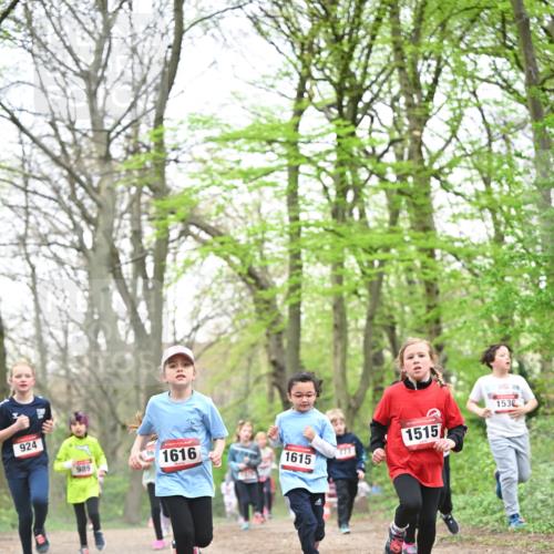 13.04.2025 - Hammer Lauf Dr. Thomas Lammeyer http://msf.ph/oto/7631676 13.04.2025 09:24:55 Laufen 924, 1616, 989, 1615, 1515, 1530 meine-sportfotos.de