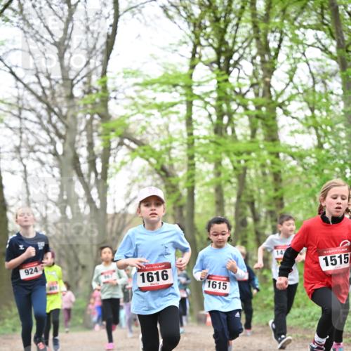 13.04.2025 - Hammer Lauf Dr. Thomas Lammeyer http://msf.ph/oto/7631699 13.04.2025 09:24:56 Laufen 924, 1616, 1615, 147, 15, 1515 meine-sportfotos.de
