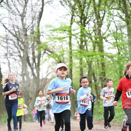 13.04.2025 - Hammer Lauf Dr. Thomas Lammeyer http://msf.ph/oto/7631705 13.04.2025 09:24:56 Laufen 924, 15, 1616, 1428, 1615, 15, 15 meine-sportfotos.de