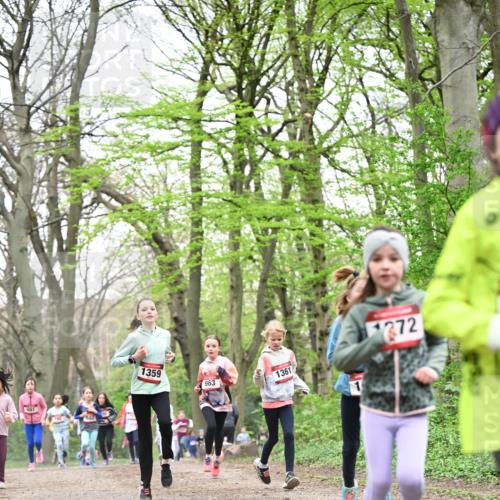 13.04.2025 - Hammer Lauf Dr. Thomas Lammeyer http://msf.ph/oto/7631823 13.04.2025 09:25:00 Laufen 1359, 1361, 963, 1372 meine-sportfotos.de