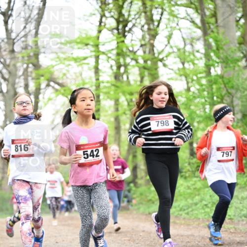 13.04.2025 - Hammer Lauf Dr. Thomas Lammeyer http://msf.ph/oto/7632160 13.04.2025 09:25:08 Laufen 816, 15, 542, 798, 797 meine-sportfotos.de