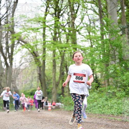 13.04.2025 - Hammer Lauf Dr. Thomas Lammeyer http://msf.ph/oto/7632293 13.04.2025 09:25:11 Laufen 15, 866 meine-sportfotos.de