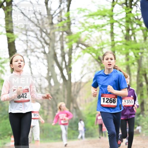 13.04.2025 - Hammer Lauf Dr. Thomas Lammeyer http://msf.ph/oto/7633650 13.04.2025 09:25:44 Laufen 642, 954, 15, 1266, 1355 meine-sportfotos.de