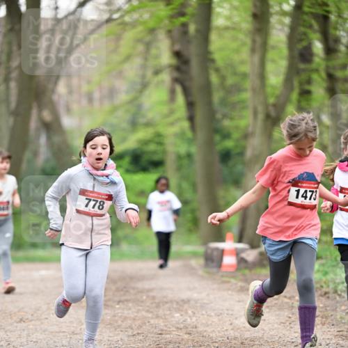 13.04.2025 - Hammer Lauf Dr. Thomas Lammeyer http://msf.ph/oto/7633968 13.04.2025 09:26:01 Laufen 465, 15, 778, 15, 1473 meine-sportfotos.de