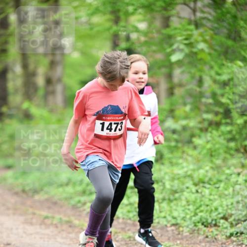 13.04.2025 - Hammer Lauf Dr. Thomas Lammeyer http://msf.ph/oto/7633996 13.04.2025 09:26:02 Laufen 15, 1473 meine-sportfotos.de