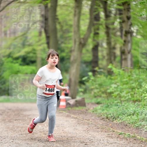 13.04.2025 - Hammer Lauf Dr. Thomas Lammeyer http://msf.ph/oto/7634031 13.04.2025 09:26:05 Laufen 1469 meine-sportfotos.de