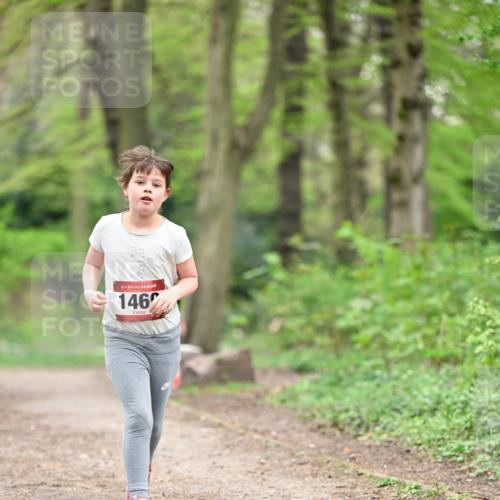 13.04.2025 - Hammer Lauf Dr. Thomas Lammeyer http://msf.ph/oto/7634043 13.04.2025 09:26:05 Laufen 15, 146 meine-sportfotos.de