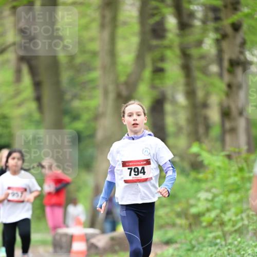 13.04.2025 - Hammer Lauf Dr. Thomas Lammeyer http://msf.ph/oto/7634432 13.04.2025 09:26:30 Laufen 15, 794 meine-sportfotos.de