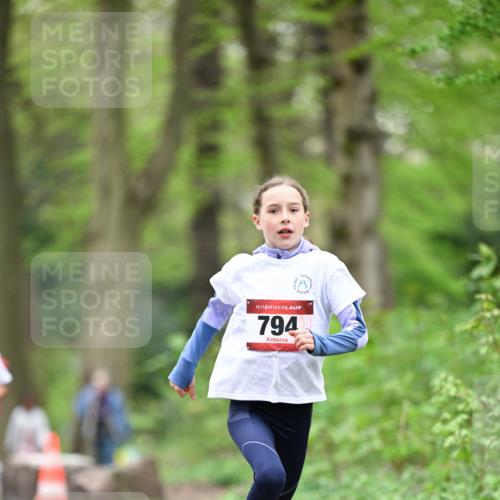 13.04.2025 - Hammer Lauf Dr. Thomas Lammeyer http://msf.ph/oto/7634459 13.04.2025 09:26:31 Laufen 15, 794 meine-sportfotos.de