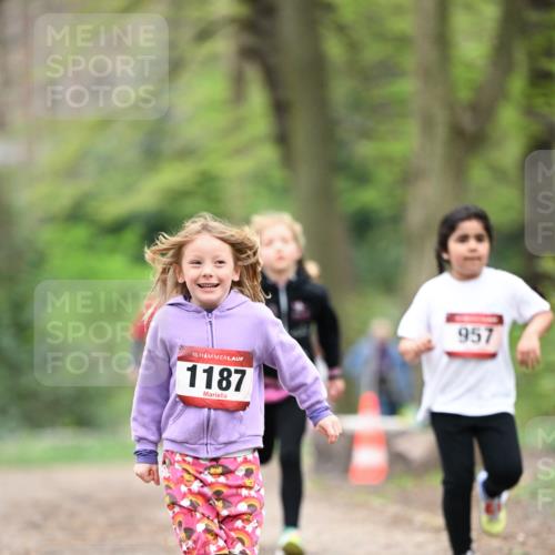 13.04.2025 - Hammer Lauf Dr. Thomas Lammeyer http://msf.ph/oto/7634512 13.04.2025 09:26:32 Laufen 15, 1187, 957 meine-sportfotos.de