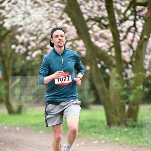 13.04.2025 - Hammer Lauf Dr. Thomas Lammeyer http://msf.ph/oto/7638212 13.04.2025 10:07:11 Laufen 77 meine-sportfotos.de