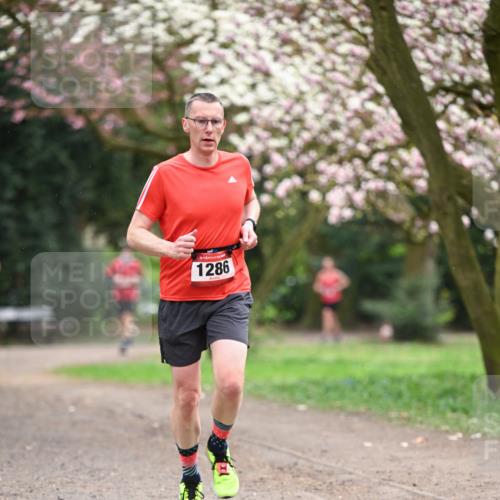 13.04.2025 - Hammer Lauf Dr. Thomas Lammeyer http://msf.ph/oto/7639902 13.04.2025 10:08:57 Laufen 1286 meine-sportfotos.de