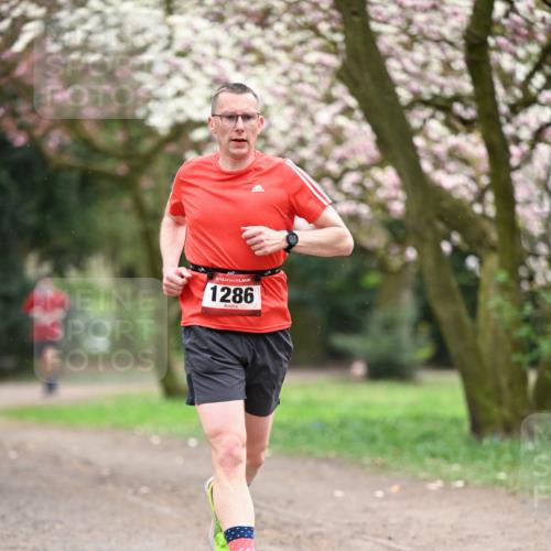 13.04.2025 - Hammer Lauf Dr. Thomas Lammeyer http://msf.ph/oto/7639921 13.04.2025 10:08:58 Laufen 1286 meine-sportfotos.de