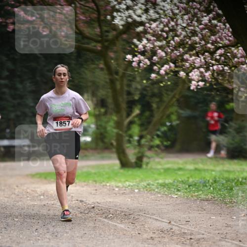 13.04.2025 - Hammer Lauf Dr. Thomas Lammeyer http://msf.ph/oto/7642120 13.04.2025 10:11:13 Laufen 1857 meine-sportfotos.de