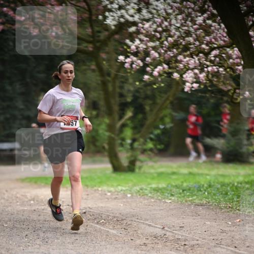 13.04.2025 - Hammer Lauf Dr. Thomas Lammeyer http://msf.ph/oto/7642127 13.04.2025 10:11:13 Laufen 57 meine-sportfotos.de