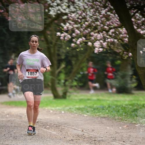 13.04.2025 - Hammer Lauf Dr. Thomas Lammeyer http://msf.ph/oto/7642134 13.04.2025 10:11:13 Laufen 1857 meine-sportfotos.de