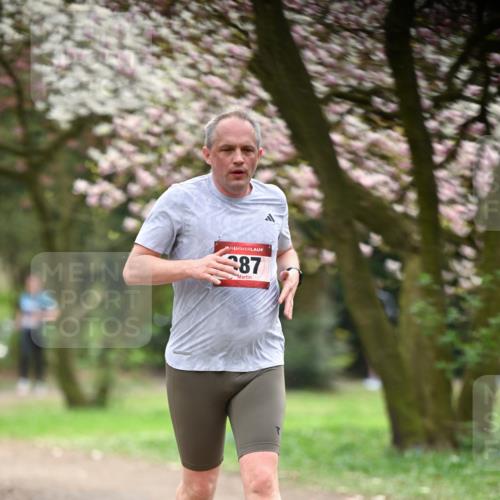 13.04.2025 - Hammer Lauf Dr. Thomas Lammeyer http://msf.ph/oto/7642274 13.04.2025 10:11:23 Laufen 87 meine-sportfotos.de