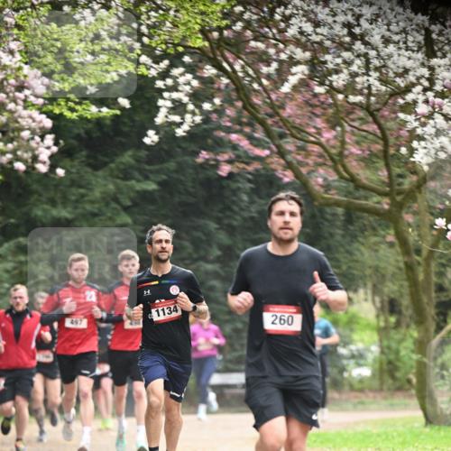 13.04.2025 - Hammer Lauf Dr. Thomas Lammeyer http://msf.ph/oto/7642296 13.04.2025 10:11:25 Laufen 497, 1134, 260 meine-sportfotos.de