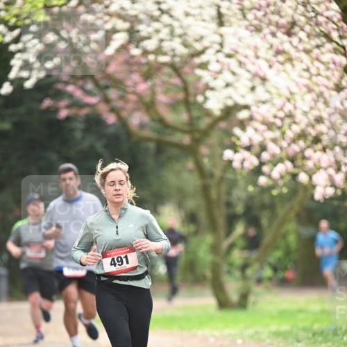 13.04.2025 - Hammer Lauf Dr. Thomas Lammeyer http://msf.ph/oto/7642631 13.04.2025 10:12:03 Laufen 15, 491 meine-sportfotos.de
