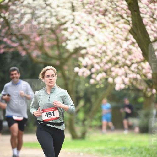 13.04.2025 - Hammer Lauf Dr. Thomas Lammeyer http://msf.ph/oto/7642643 13.04.2025 10:12:03 Laufen 15, 491 meine-sportfotos.de