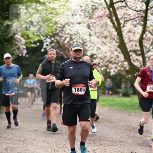 13.04.2025 - Hammer Lauf Dr. Thomas Lammeyer http://msf.ph/oto/7643894 13.04.2025 10:13:24 Laufen 15, 1805, 140, 28 meine-sportfotos.de