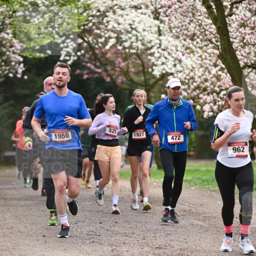 13.04.2025 - Hammer Lauf Dr. Thomas Lammeyer http://msf.ph/oto/7644223 13.04.2025 10:13:40 Laufen 525, 1956, 1927, 472, 962 meine-sportfotos.de