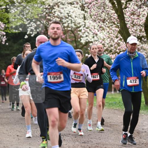13.04.2025 - Hammer Lauf Dr. Thomas Lammeyer http://msf.ph/oto/7644246 13.04.2025 10:13:41 Laufen 1956, 525, 1927, 472 meine-sportfotos.de
