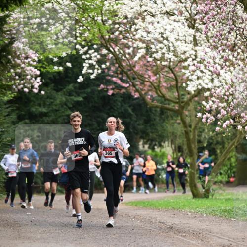 13.04.2025 - Hammer Lauf Dr. Thomas Lammeyer http://msf.ph/oto/7645759 13.04.2025 10:15:32 Laufen 368, 365 meine-sportfotos.de