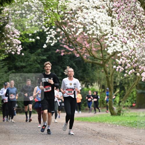 13.04.2025 - Hammer Lauf Dr. Thomas Lammeyer http://msf.ph/oto/7645771 13.04.2025 10:15:33 Laufen 368, 365 meine-sportfotos.de