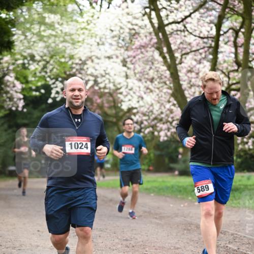 13.04.2025 - Hammer Lauf Dr. Thomas Lammeyer http://msf.ph/oto/7646307 13.04.2025 10:16:12 Laufen 15, 1024, 589 meine-sportfotos.de