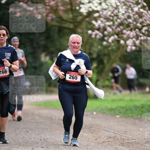 13.04.2025 - Hammer Lauf Dr. Thomas Lammeyer http://msf.ph/oto/7648488 13.04.2025 10:19:33 Laufen 266, 15, 265 meine-sportfotos.de