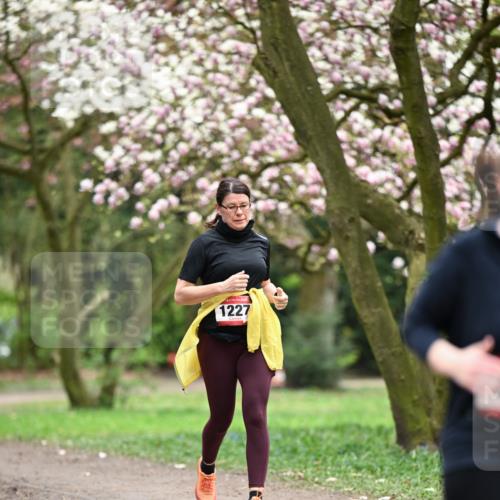 13.04.2025 - Hammer Lauf Dr. Thomas Lammeyer http://msf.ph/oto/7648893 13.04.2025 10:20:20 Laufen 1227 meine-sportfotos.de