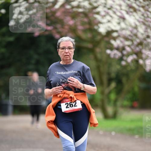 13.04.2025 - Hammer Lauf Dr. Thomas Lammeyer http://msf.ph/oto/7649197 13.04.2025 10:21:51 Laufen 17, 15, 262 meine-sportfotos.de
