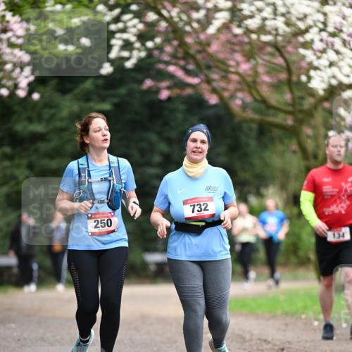 13.04.2025 - Hammer Lauf Dr. Thomas Lammeyer http://msf.ph/oto/7649657 13.04.2025 10:23:14 Laufen 250, 15, 732, 134 meine-sportfotos.de