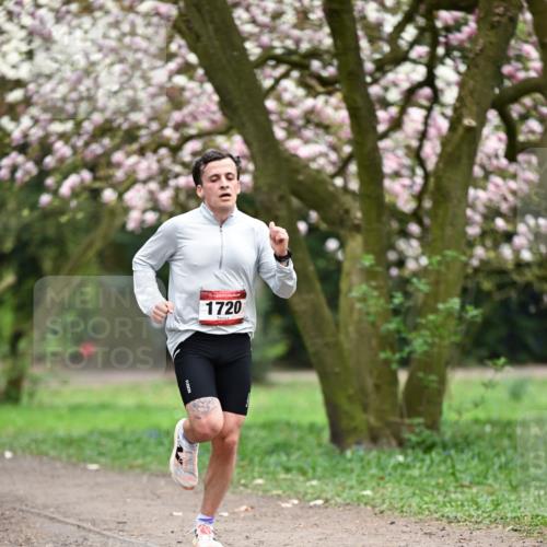 13.04.2025 - Hammer Lauf Dr. Thomas Lammeyer http://msf.ph/oto/7649877 13.04.2025 10:23:58 Laufen 15, 1720 meine-sportfotos.de