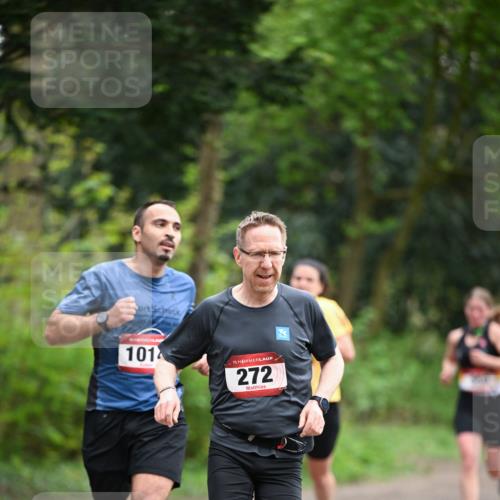 13.04.2025 - Hammer Lauf Dr. Thomas Lammeyer http://msf.ph/oto/7651440 13.04.2025 10:28:34 Laufen 101, 15, 272 meine-sportfotos.de